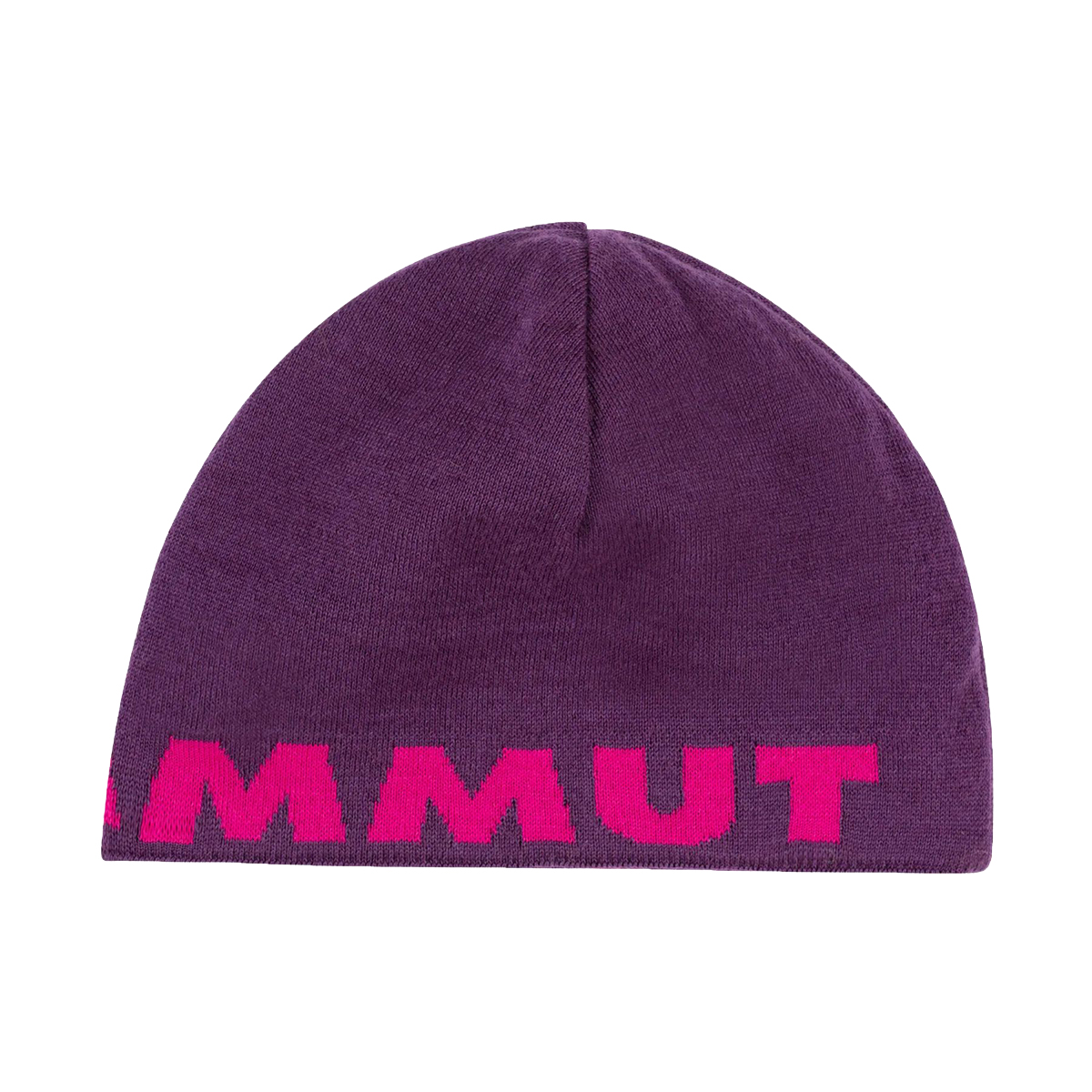 Logo Beanie